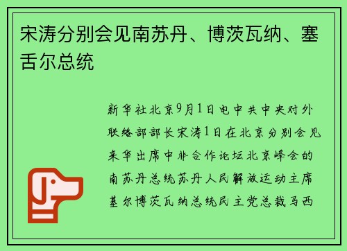 宋涛分别会见南苏丹、博茨瓦纳、塞舌尔总统